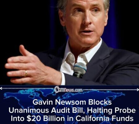 Gavin Newsom Rejects Unanimous Legislature on $20 Billion Audit Proposal