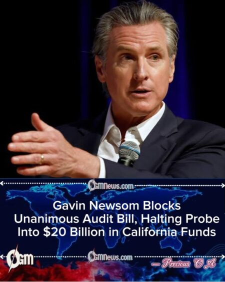 Gavin Newsom Rejects Unanimous Legislature on $20 Billion Audit Proposal