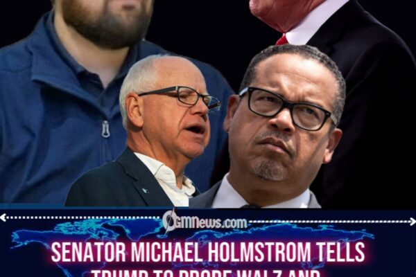 Senator Michael Holmstrom Pulls the Fire Alarm: “Let Washington Investigate Minnesota: Walz and Ellison in Trouble