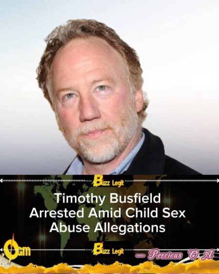 Timothy Busfield Faces Felony Charges Over Alleged Misconduct