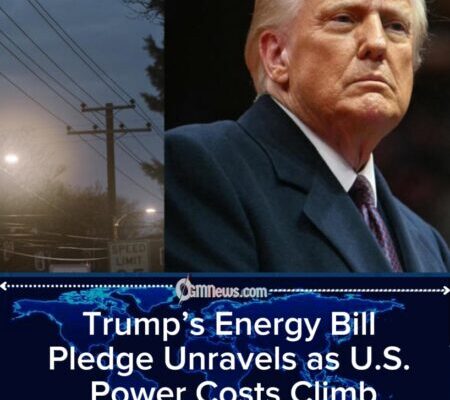 How Trump’s Promise to Slash Energy Bills in Half Has Failed Across the United States