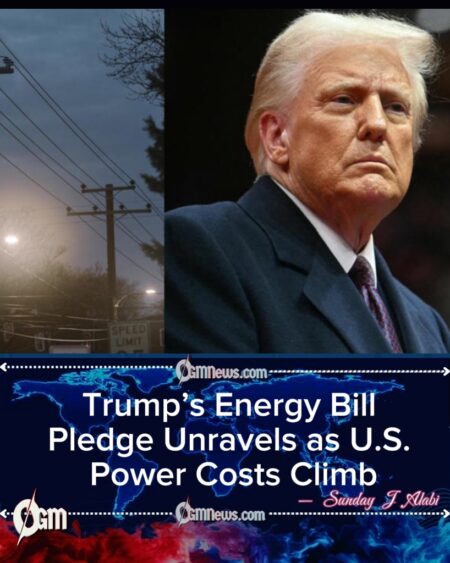 How Trump’s Promise to Slash Energy Bills in Half Has Failed Across the United States