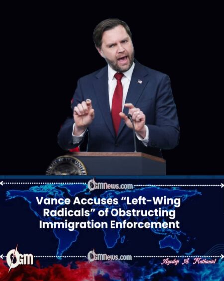 Vance Blames ‘Left-Wing Radicals’ After Immigration Reality Refuses to Cooperate