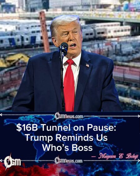 Donald Trump Freezes Funds, Freezes Patience: Hudson Tunnel in Limbo