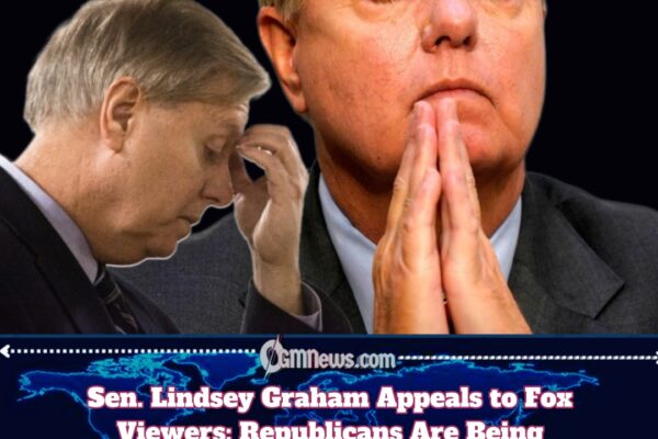 Lindsey Graham Goes on Fox, Asks Viewers to Boost Republican Senate Majority with Small-Dollar Donations