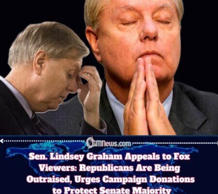Lindsey Graham Goes on Fox, Asks Viewers to Boost Republican Senate Majority with Small-Dollar Donations