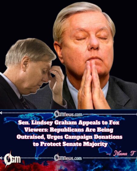 Lindsey Graham Goes on Fox, Asks Viewers to Boost Republican Senate Majority with Small-Dollar Donations