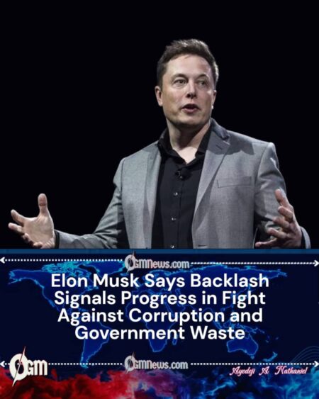 Elon Musk: Backlash Shows Anti-Corruption Efforts Are Working