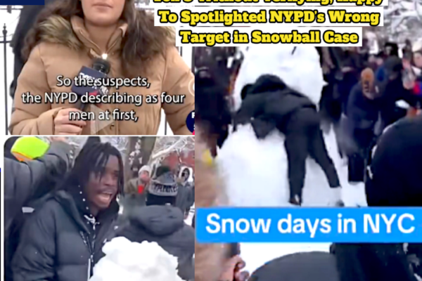 NYPD Accused of Using Wrong Photo to Frame Wrong Black Teen in Snowball Incident