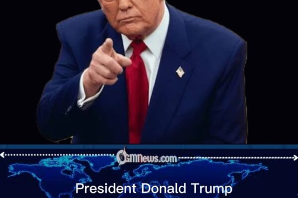 President Donald Trump Challenges Congressional Role in Election Policy Discussion