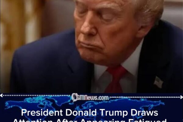 President Donald Trump’s ‘Board of Peace’ Moment Ignites Debate on Leadership and Image