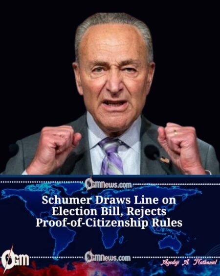 Schumer Says Democrats Will Oppose Voter ID Provisions in SAVE Act