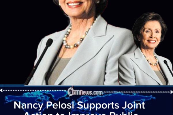 Nancy Pelosi Support for Rail Upgrade Raises Concerns Among Critics