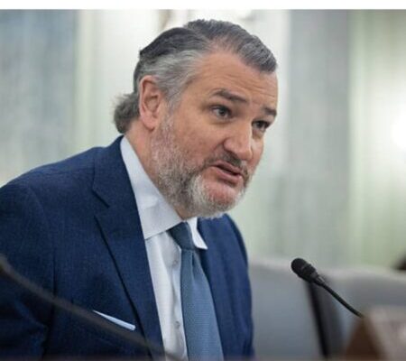 Senator Ted Cruz Triggers Political Clash With Proposal to Split DHS Funding