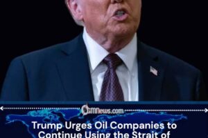 Trump Encourages Shipping Through Hormuz Despite Maritime Security Concerns