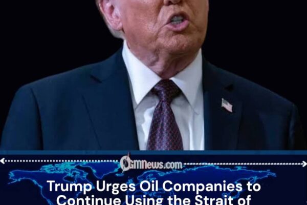 Trump Encourages Shipping Through Hormuz Despite Maritime Security Concerns