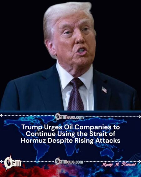 Trump Encourages Shipping Through Hormuz Despite Maritime Security Concerns