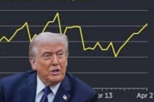 President Donald Trump Comments on OPEC Dynamics and Potential Energy Price Shifts