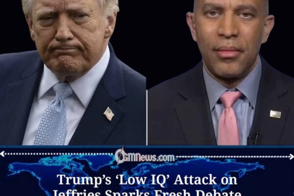 Trump’s Remarks About Jeffries Renew Debate on Political Tone