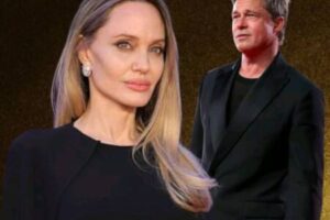 Angelina Jolie Blocks Private Messages in Brad Pitt Winery Case