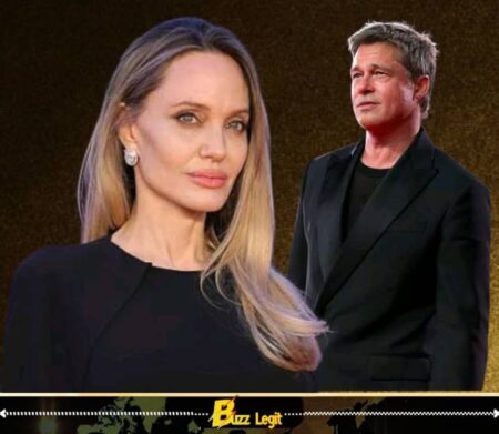 Angelina Jolie Blocks Private Messages in Brad Pitt Winery Case