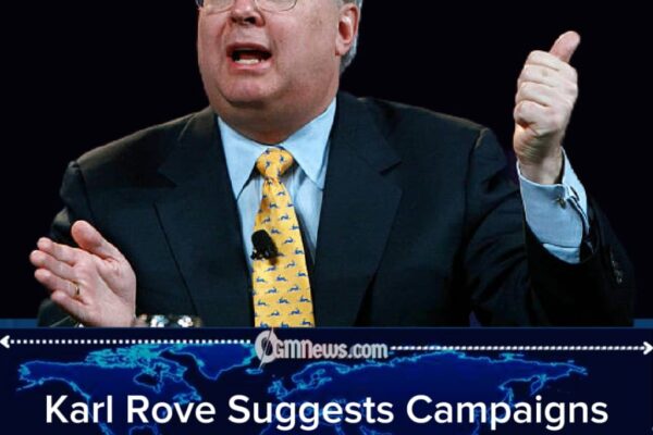Karl Rove Says Democrats May Struggle With Swing Voters in Midterms