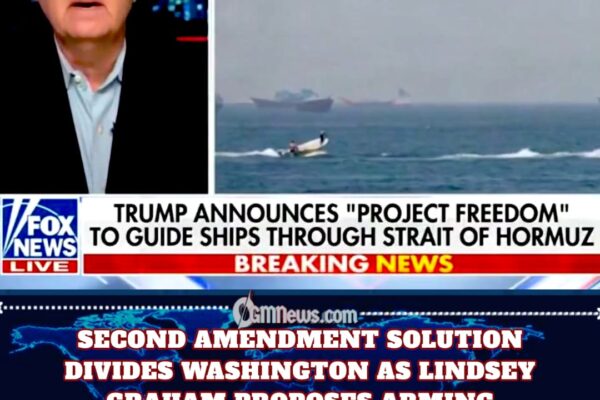 SECOND AMENDMENT SOLUTION DIVIDES WASHINGTON AS LINDSEY GRAHAM PROPOSES ARMING IRANIAN REBELS TO TOPPLE REGIME
