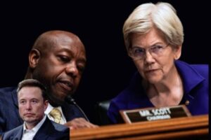 Senate Says Democracy Is Not Available for Premium Purchase