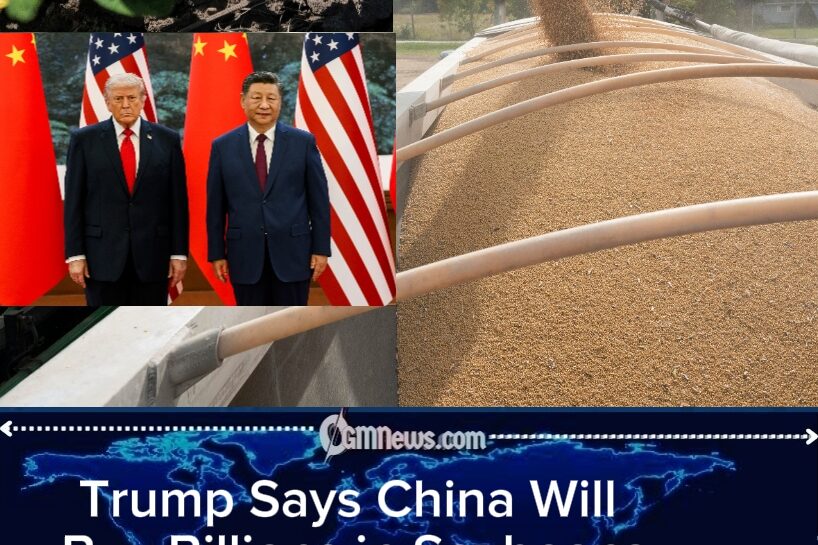 Trump’s “Billions in Soybeans” Claim Faces Iowa Reality as Farmers Battle Trade War Exhaustion and Rising Costs