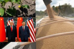 Trump’s “Billions in Soybeans” Claim Faces Iowa Reality as Farmers Battle Trade War Exhaustion and Rising Costs