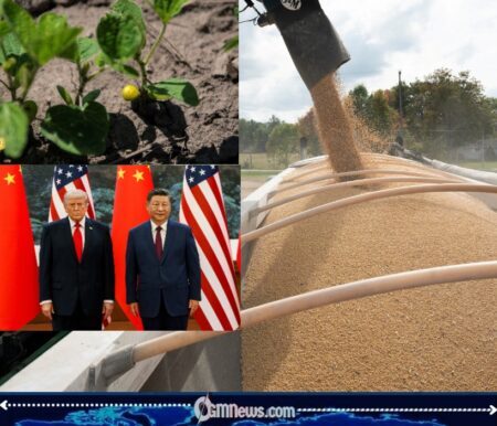 Trump’s “Billions in Soybeans” Claim Faces Iowa Reality as Farmers Battle Trade War Exhaustion and Rising Costs
