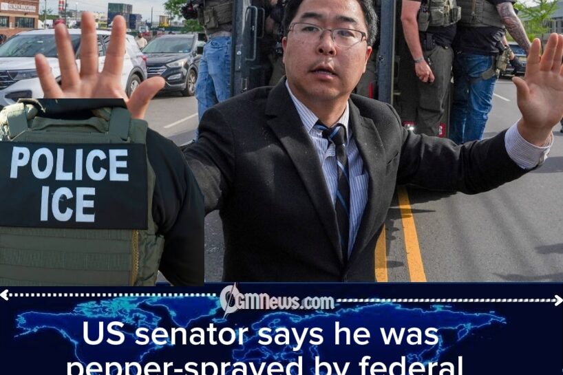 ICE Fury: Senator Pepper-Sprayed as Delaney Hall Protest Erupts Into Political Firestorm