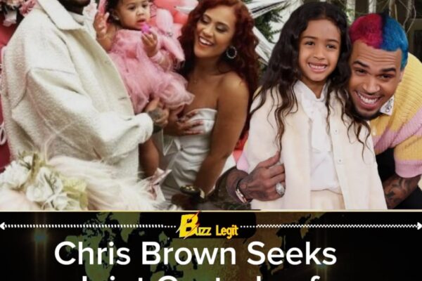 Chris Brown Clashes With Diamond Brown Over Custody: LA Court Braces for High-Stakes Parenting Showdown