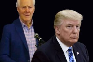 Highway Politics: Cornyn’s Trump Road Tribute Suddenly Loses Speed After Painful Defeat to Paxton