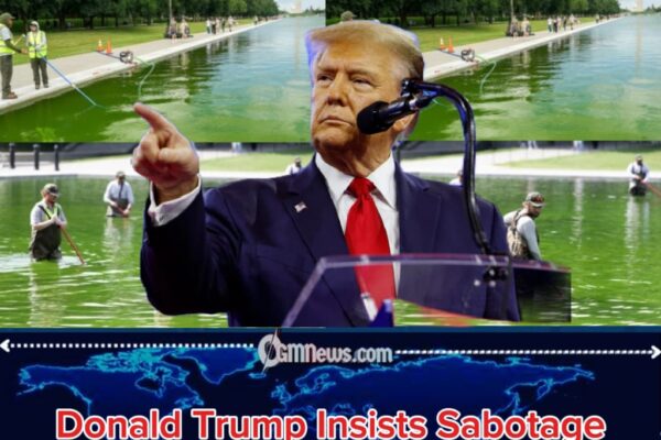 Donald Trump Says Six Arrested Over Reflecting Pool “Vandalism”