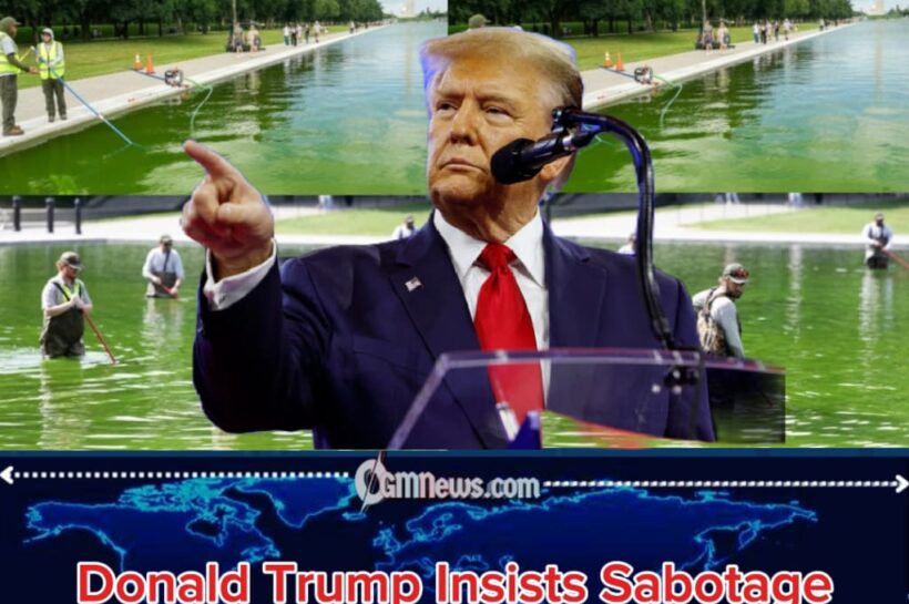 Donald Trump Says Six Arrested Over Reflecting Pool “Vandalism”