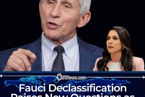 Fauci Declassification Bombshell: Why Are Major Networks Looking Away?