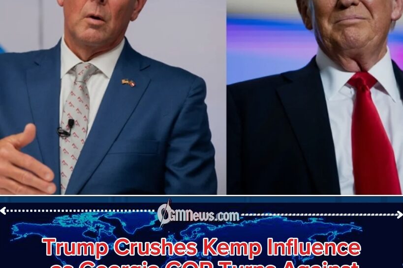 Georgia Senate Race: Trump-backed candidate wins Georgia Republican Senate runoff