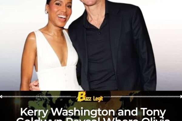 Olivia Pope Still Fixing Crises While Fitz Probably Misplaced Another Democracy