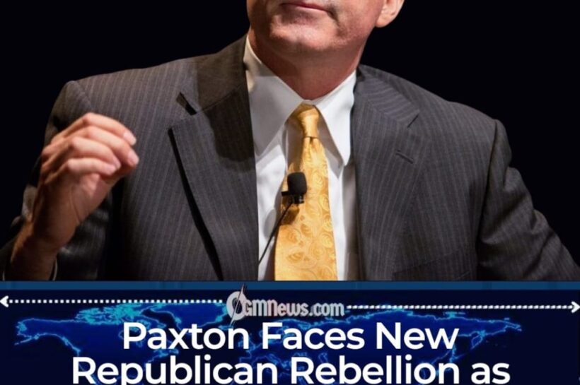 Paxton’s Support Team Accidentally Forms a Search Party
