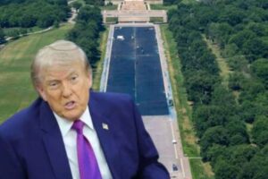 REFLECTING POOL: TRUMP’S VANDALISM CLAIMS SPARK NEW QUESTIONS AS CRITICS ALLEGE A POLITICAL COVER STORY