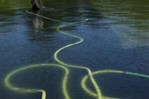 Reflecting Pool Damage Investigated After Liner Found Cut