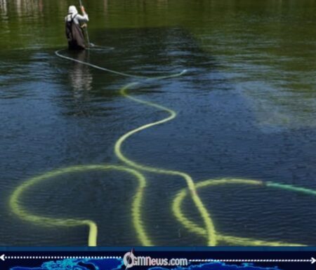 Reflecting Pool Damage Investigated After Liner Found Cut