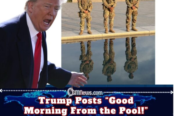 Reflecting Pool Sits Behind New Fencing As Trump Posts “Good Morning From the Pool!”