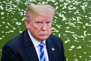 Trump Admits Problems at $14 Million Reflecting Pool After Algae and Peeling Paint Appear