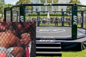White House Cage Fight Ignites Political Firestorm as Trump Turns Presidential Grounds Into UFC Arena