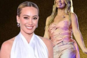 BOUNDARIES In The Spotlight: Hilary Duff Speaks Out After Unexpected Fan Lifted Her Into A Hug Onstage