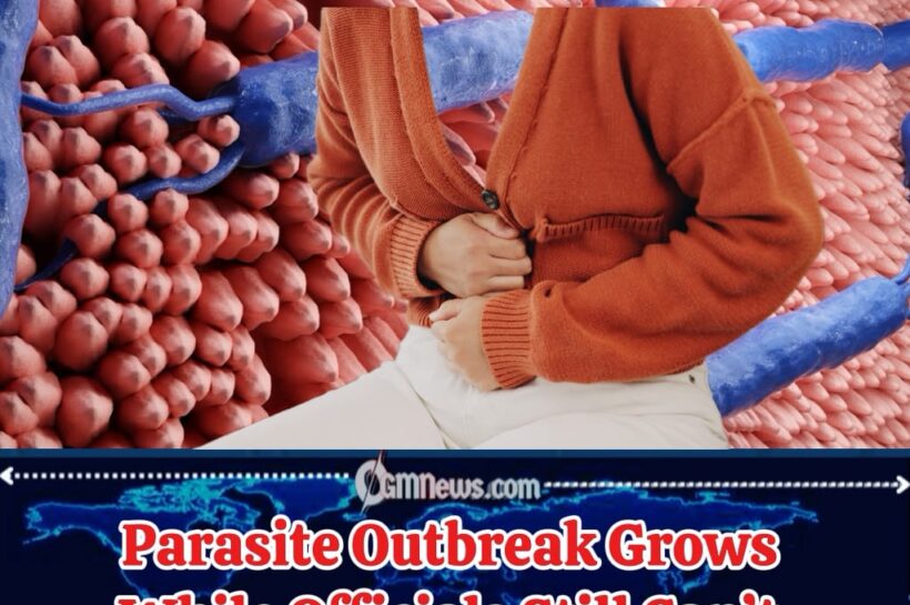 Parasite Outbreak Expands Across America as Cyclospora Mystery Leaves Health Officials Searching for Answers