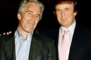 Capitol's Credibility Circus: Epstein Testimony Turns Congress into the World's Most Awkward Group Therapy Session
