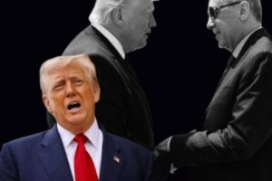 GREENLAND: TRUMP REVIVES ARCTIC DEMAND AS NATO SUMMIT OPENS UNDER SHADOW OF NEW ALLIANCE TENSIONS